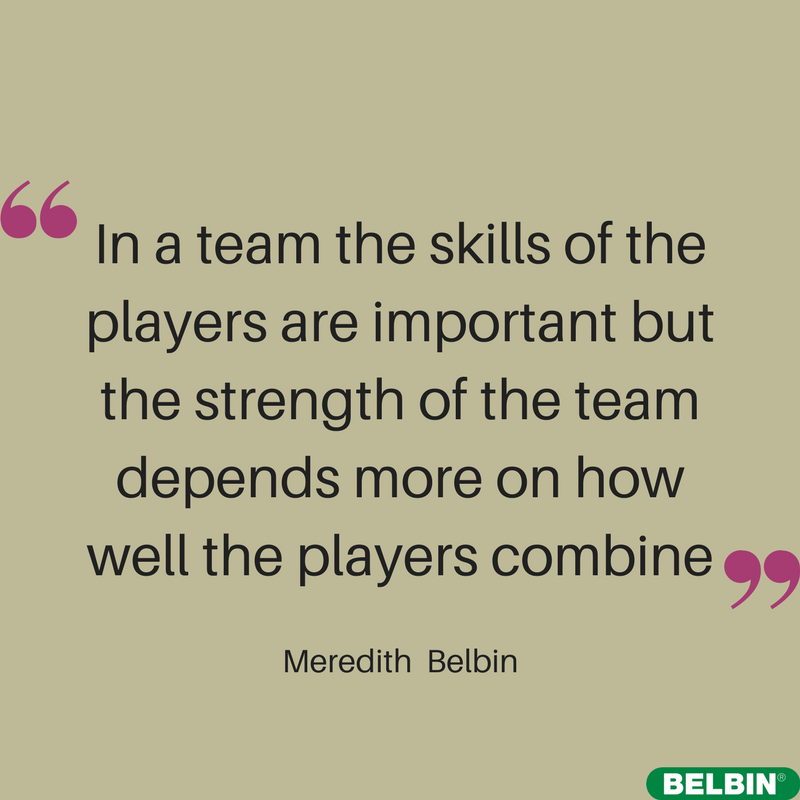 Belbin Belbin